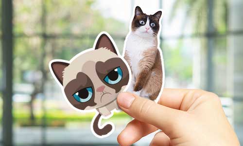 Custom Cat Stickers