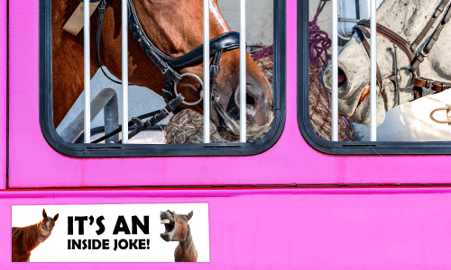 ink horse trailer with bay, and gray horses inside. Their bridled heads are near the back window. Bumper sticker has two horses neighing and the text reads It's An Inside Joke.