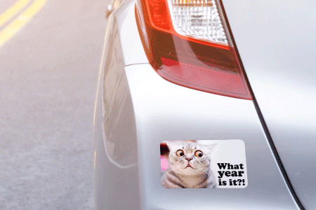 Funny Cat Bumper Sticker